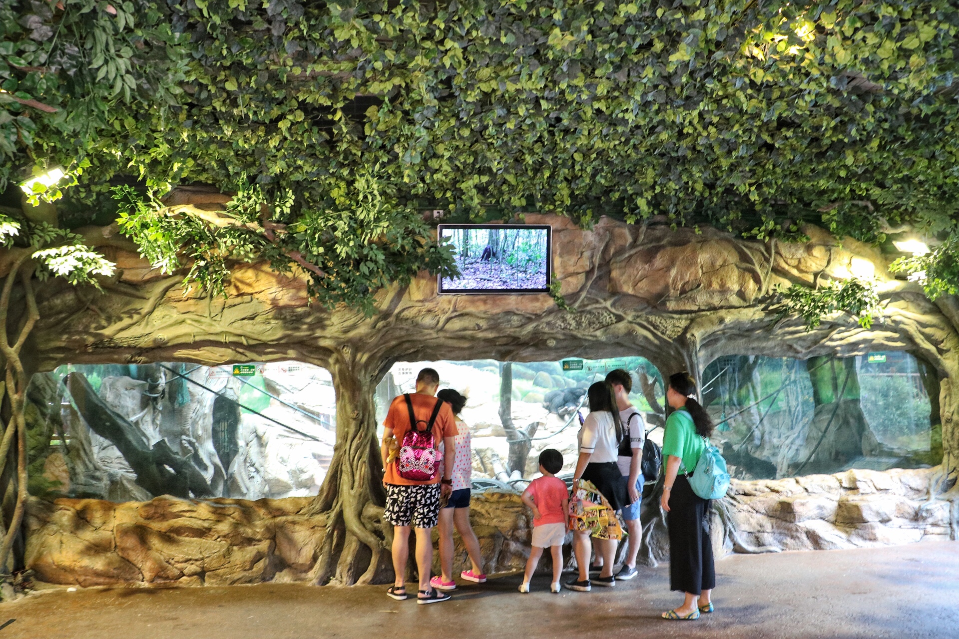 一月广州长隆野生动物园游玩攻略,长隆海洋王国不可错过