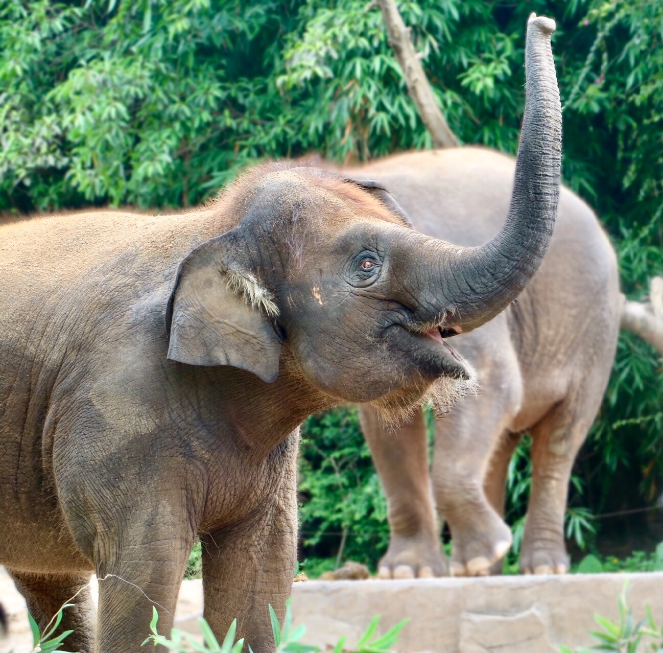 一月广州长隆野生动物园游玩攻略,长隆海洋王国不可错过