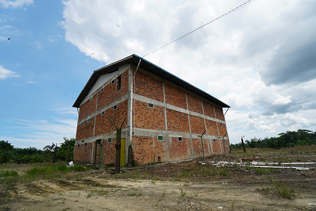 燕窝市场大揭秘,燕窝市场有多大