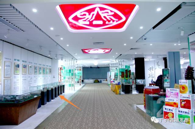 比同仁堂还长七岁！走进白云山中一展厅，探秘岭南中药“活化石”