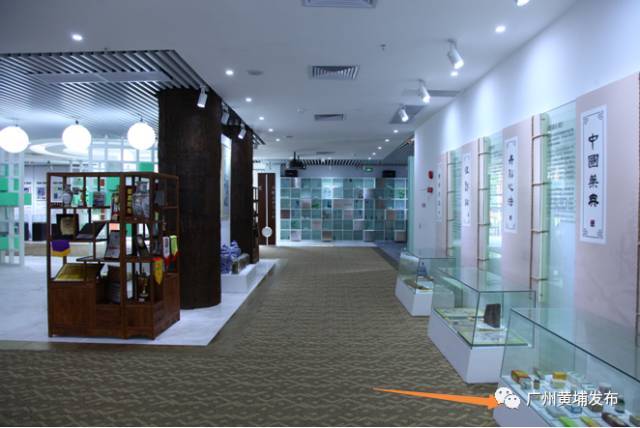 比同仁堂还长七岁！走进白云山中一展厅，探秘岭南中药“活化石”