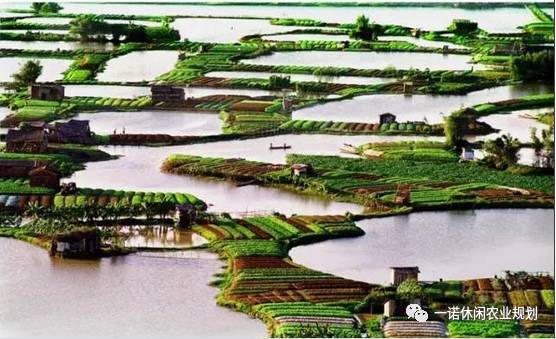 桑基鱼塘农耕文化体验区,传统桑基鱼塘不断萎缩的根本原因