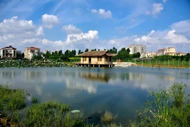 桑基鱼塘农耕文化体验区,传统桑基鱼塘不断萎缩的根本原因