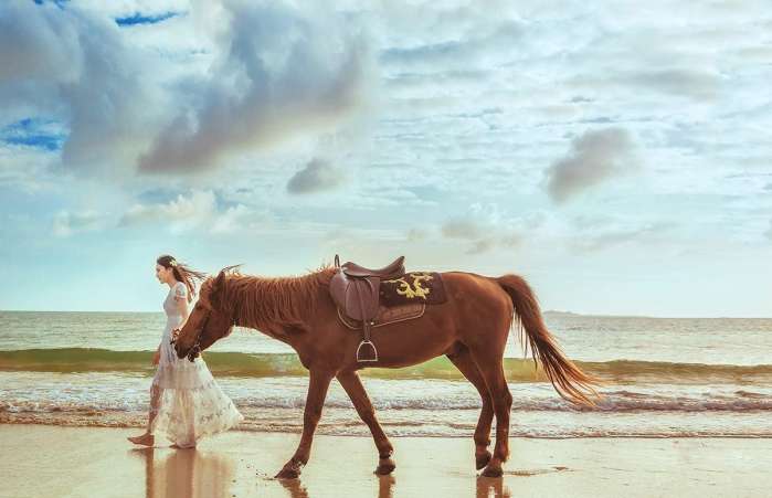 经典广告品牌有哪些,盘点100句经典广告语