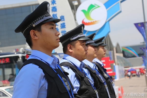 金盾护卫简介,金盾护卫