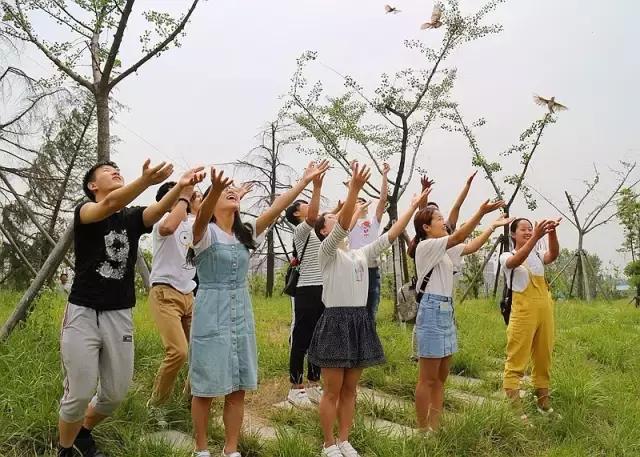 这一批小云雀的命运:有人捉住它们,有人救助它们,今天被放生