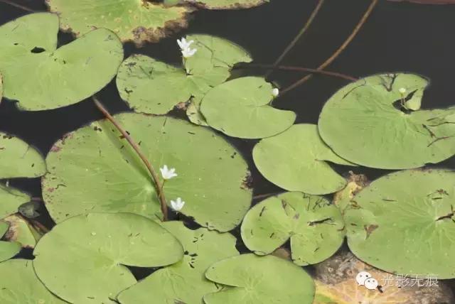 德国背包客的省钱绝招，和他们拼车自驾澳洲，半个月只花一百多刀