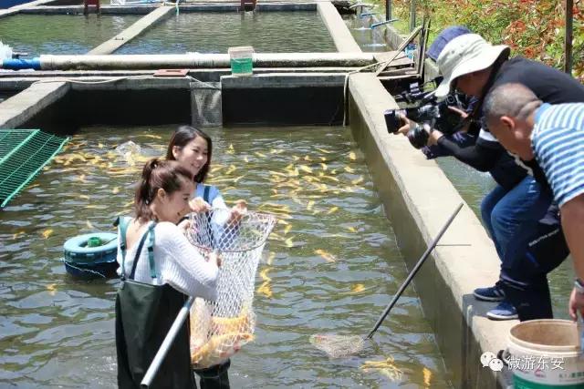 咱大东安上湖南经视啦:美女带你赏东安美景,品东安美食!