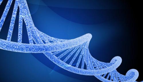 什么！你吃的不是香喷喷的白饭而是鬼稻？浙大科学家解密鬼稻