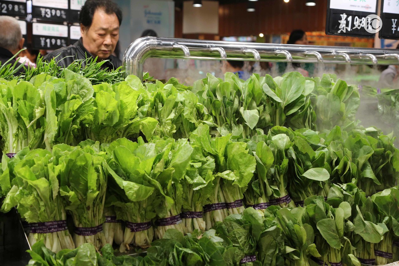 幼儿膳食营养宝典,幼儿膳食指南食物多样