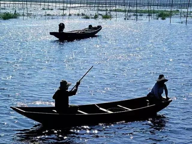 南京的夏天是个美丽的地方,南京的夏天依旧很美