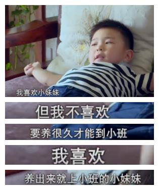 李晨鹿晗应采儿什么综艺节目,鹿晗跟应采儿综艺叫什么名字