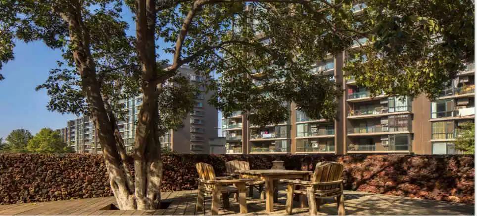 10年后睡醒了的别墅西安人还会认吗？