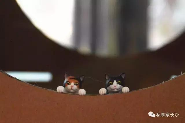 论“在餐厅一边看mao片，一边撸”，是一种什么样的体验？