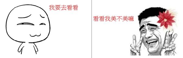 华为mate40pro怎么设置杂志锁屏,如果你的华为手机不见了怎么办