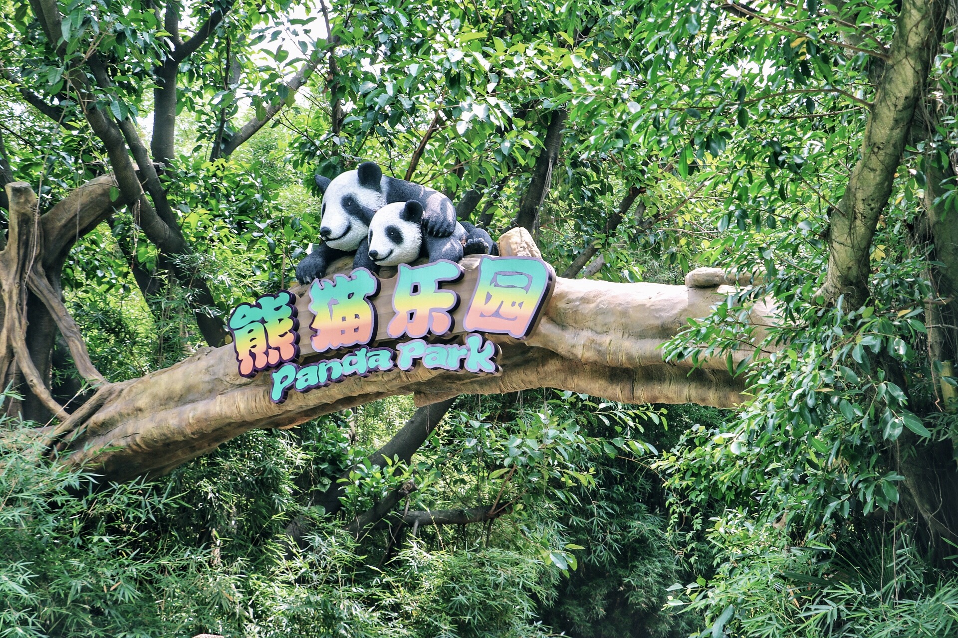 一月广州长隆野生动物园游玩攻略,长隆海洋王国不可错过