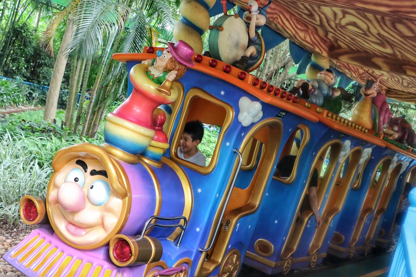 一月广州长隆野生动物园游玩攻略,长隆海洋王国不可错过