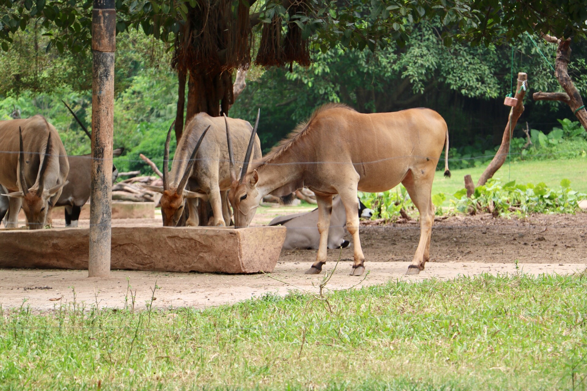 一月广州长隆野生动物园游玩攻略,长隆海洋王国不可错过