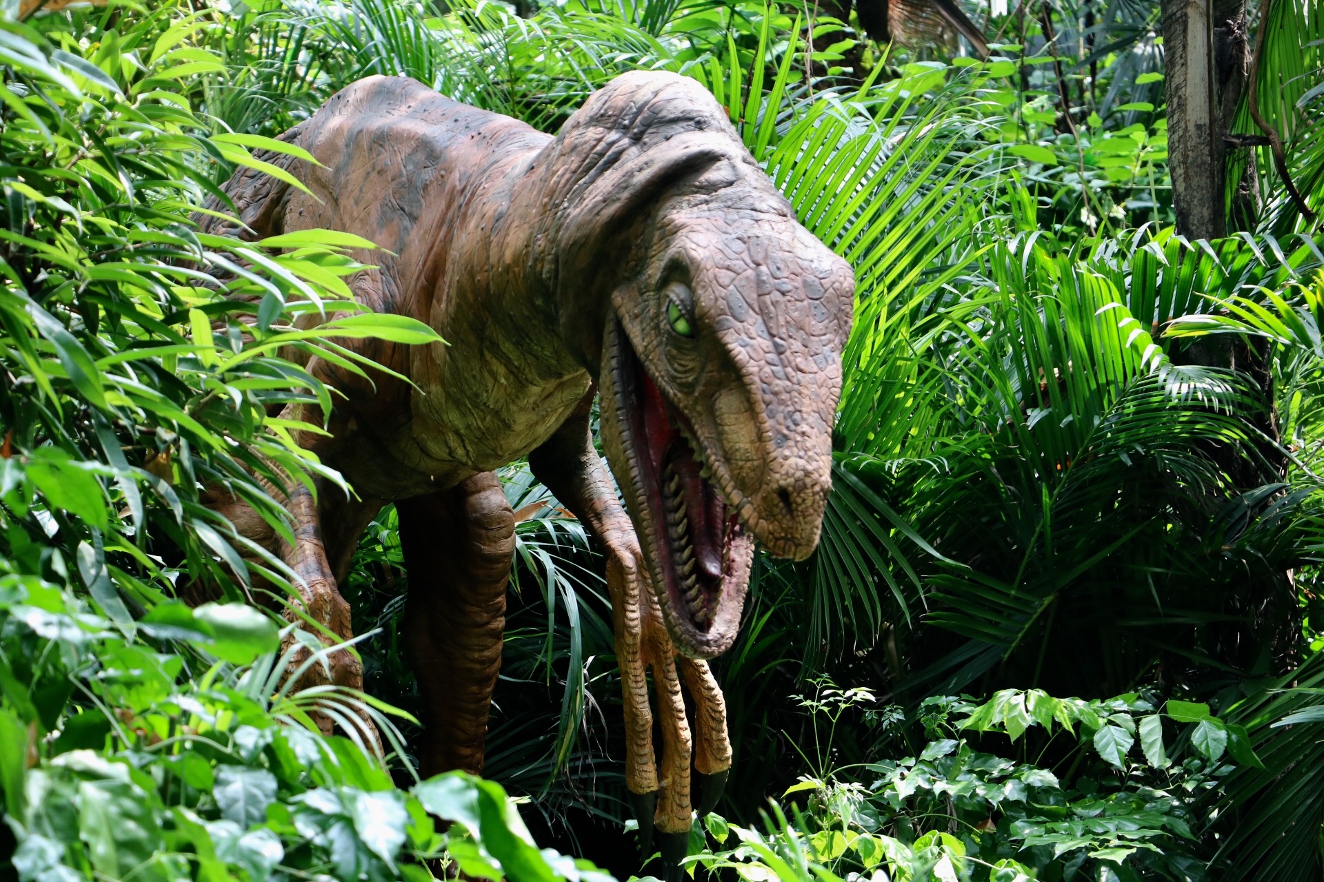 一月广州长隆野生动物园游玩攻略,长隆海洋王国不可错过