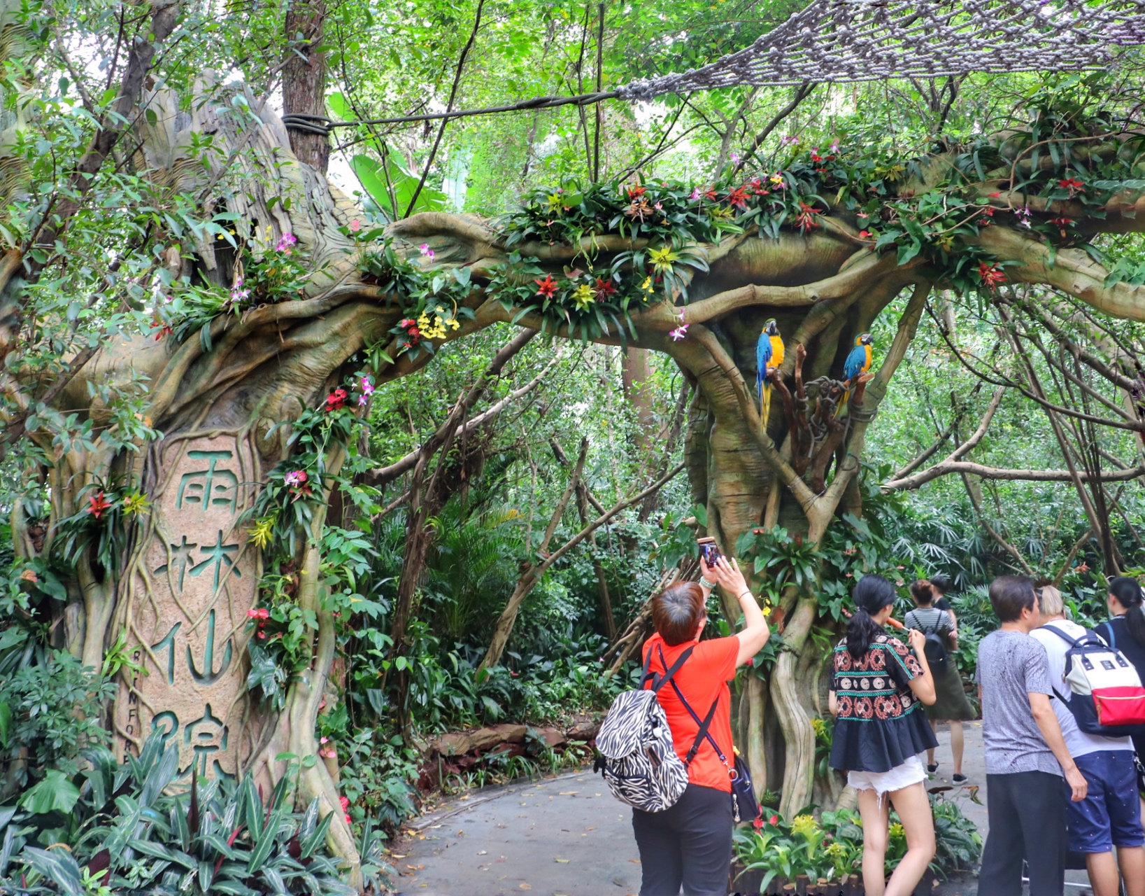 一月广州长隆野生动物园游玩攻略,长隆海洋王国不可错过