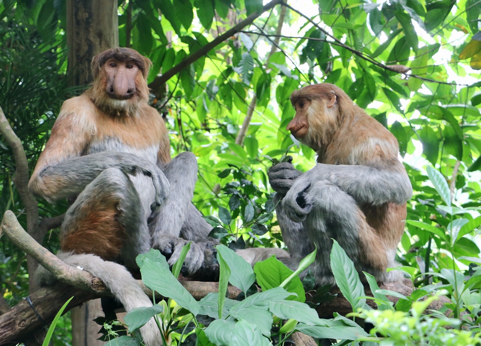 一月广州长隆野生动物园游玩攻略,长隆海洋王国不可错过