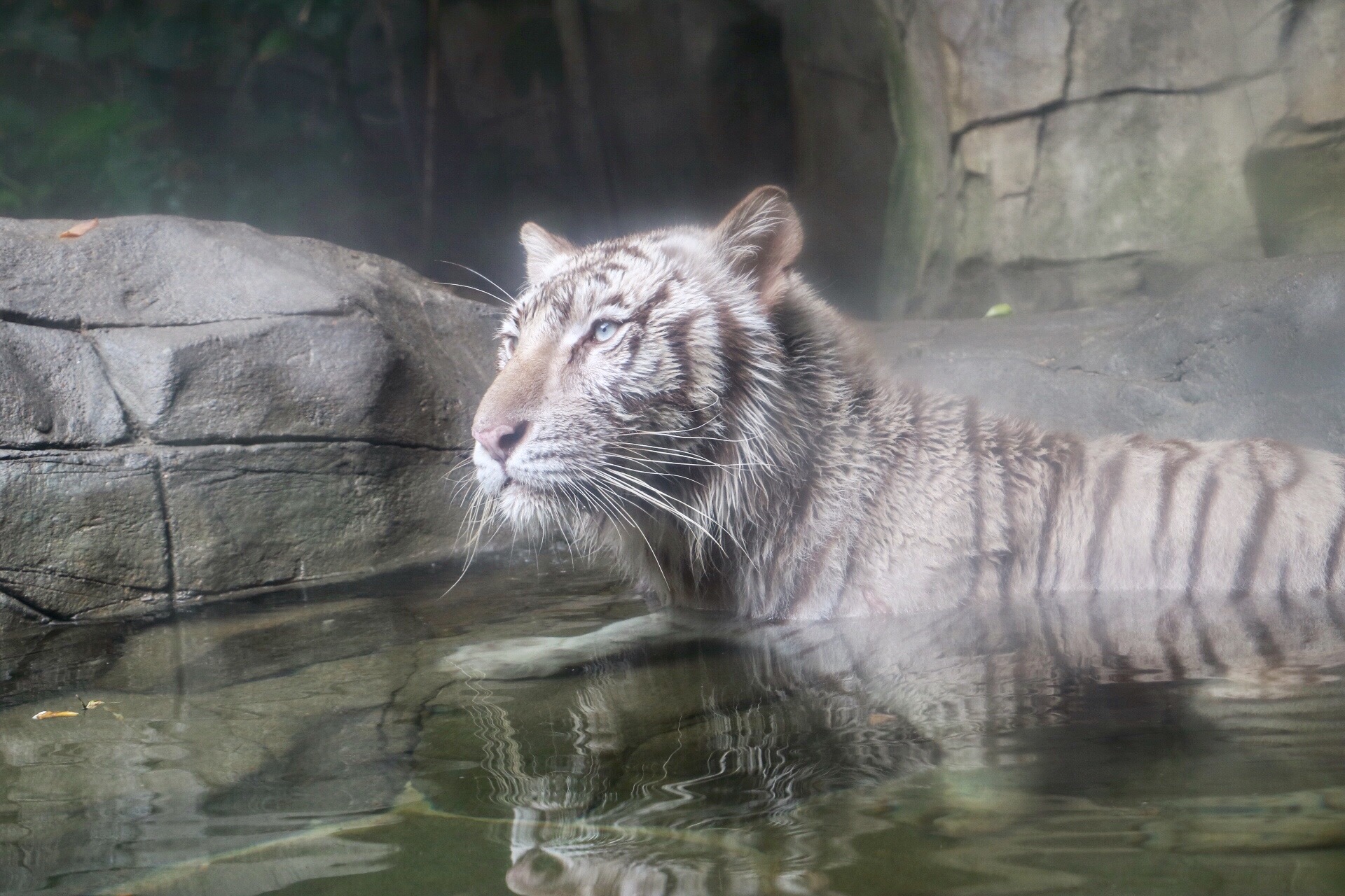 一月广州长隆野生动物园游玩攻略,长隆海洋王国不可错过