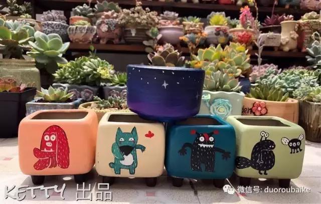 沉浸在花花草草的世界里,沉浸在动物和花海世界中