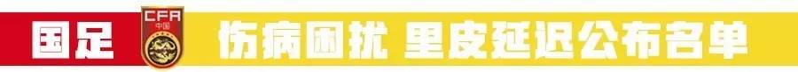 新一期国足大名单有几个归化球员,国足新一期大名单分析