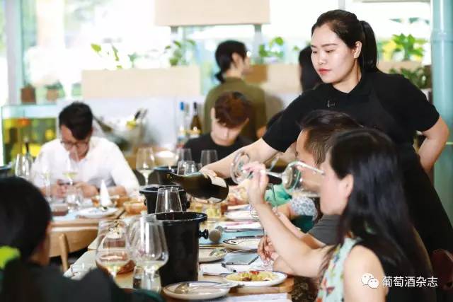 哪款雷司令最好,新手买哪款雷司令