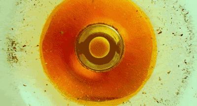 都20年了，你们怎么还这么屌？