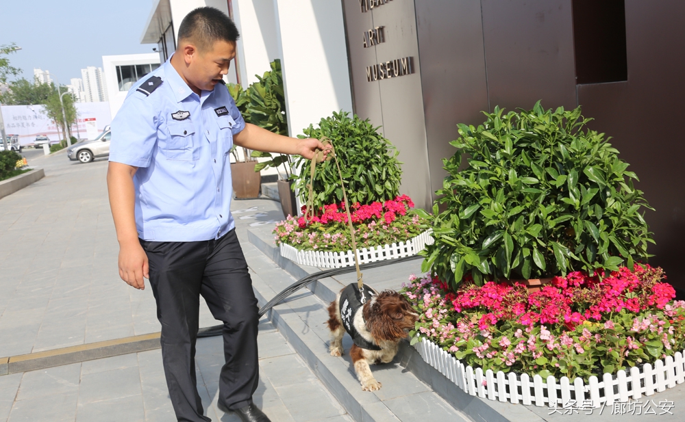 金盾护卫简介,金盾护卫