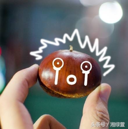 一说到栗子,就让人想到“举栗子”?