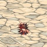 多图：DNF全职业二觉宠物外观一览，回归冒险家可免费领取