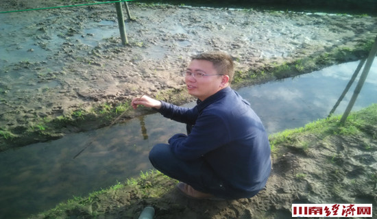 泸州:叙永红村青蛙唱响致富路