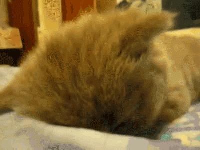 有斑显老祛斑要趁早,这几天脸上又想长斑怎么治呀