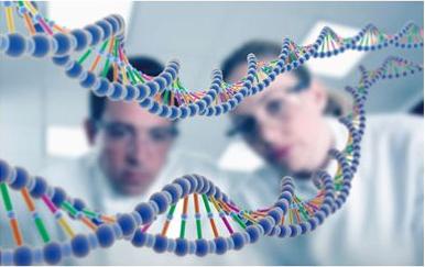 什么！你吃的不是香喷喷的白饭而是鬼稻？浙大科学家解密鬼稻