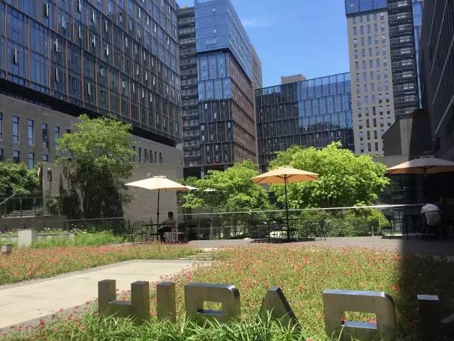 萧山本地菜好吃饭店,萧山十大特色菜谱