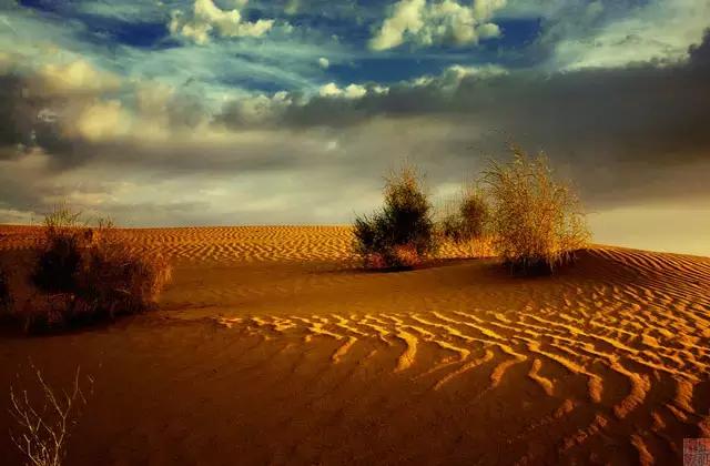 新疆南北疆大环线风景旅游专列,北京去新疆沿途风景