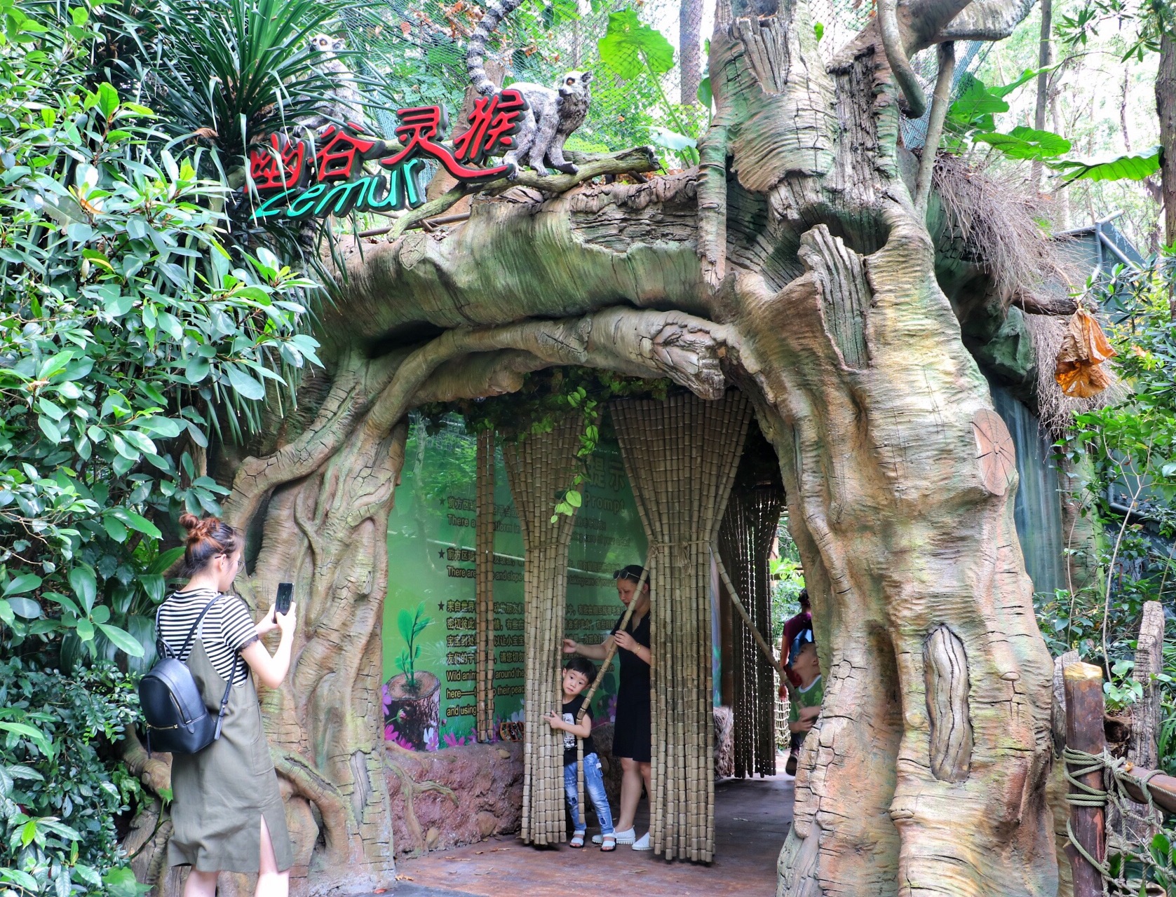 一月广州长隆野生动物园游玩攻略,长隆海洋王国不可错过