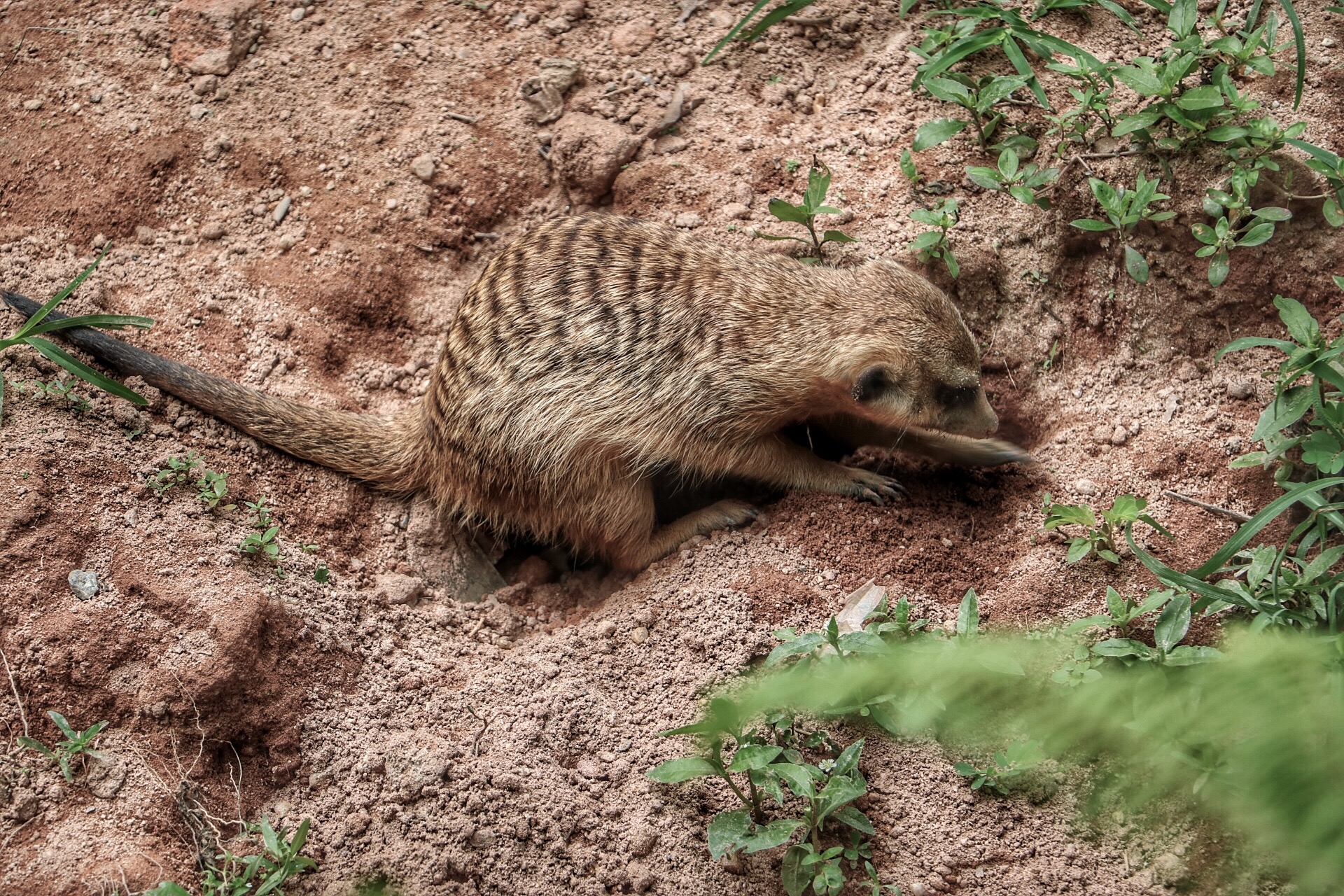 一月广州长隆野生动物园游玩攻略,长隆海洋王国不可错过