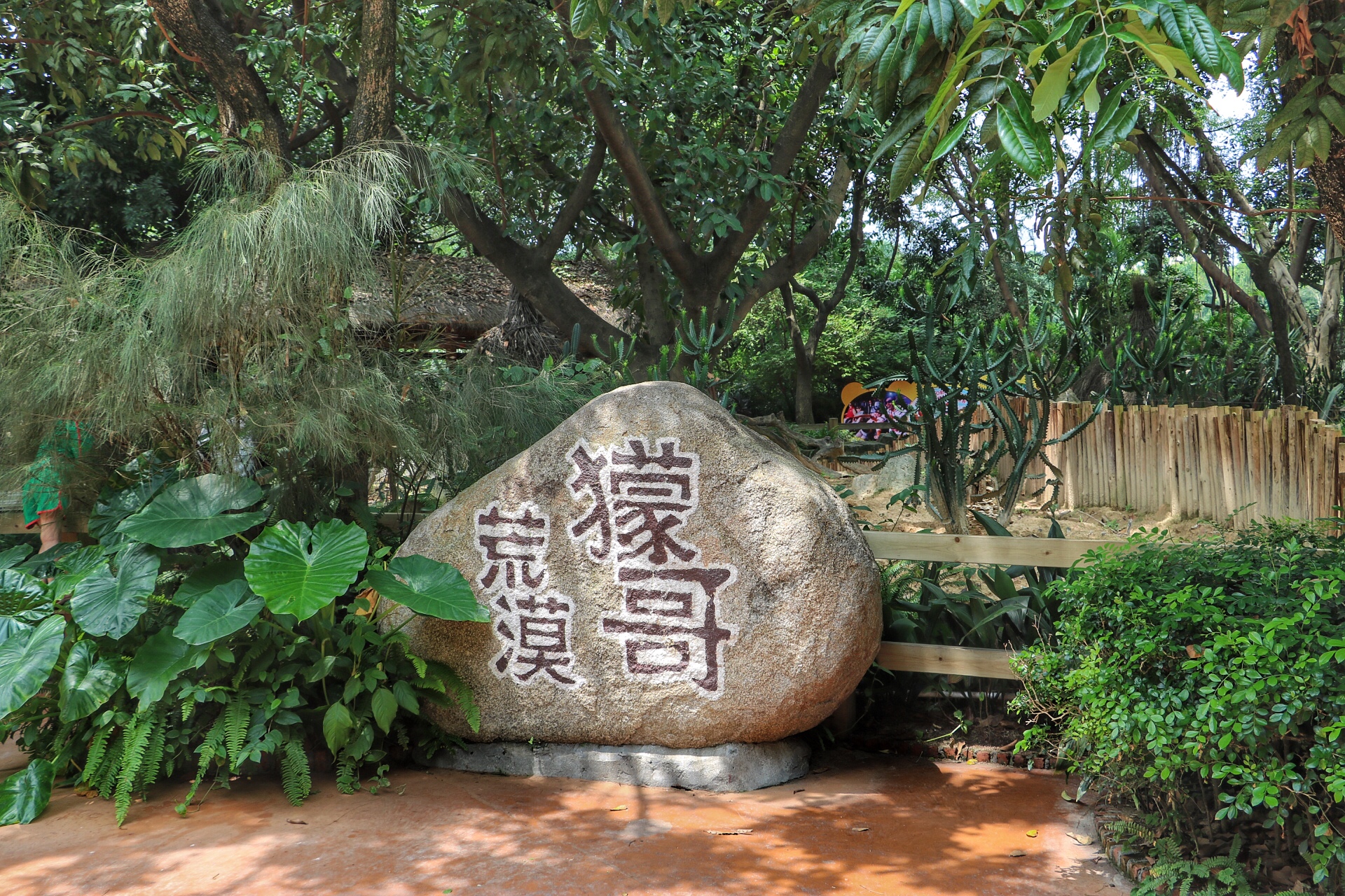 一月广州长隆野生动物园游玩攻略,长隆海洋王国不可错过