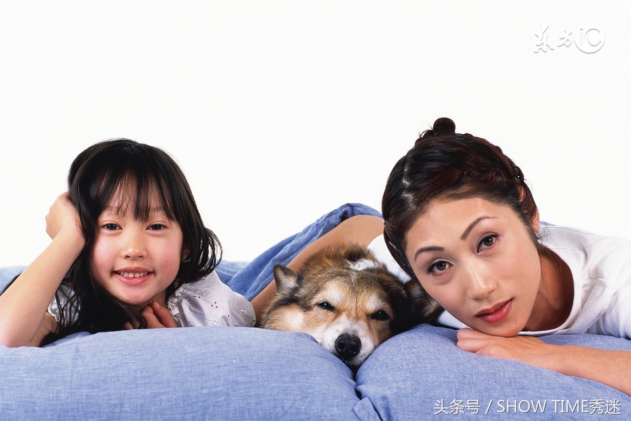 来自宠物店和狗粮七七八八的记实录（一）