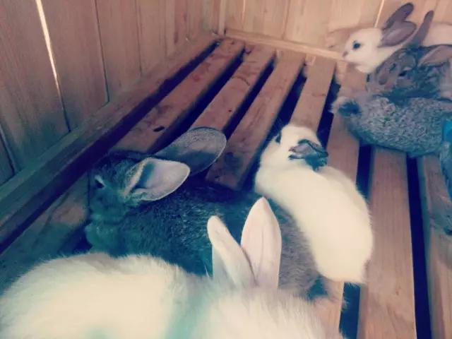 乐海水世界视频,乐海水世界有室内吗