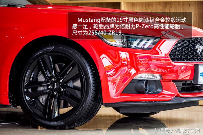 没有奔跑在草原的野马，成了男人心口的朱砂痣