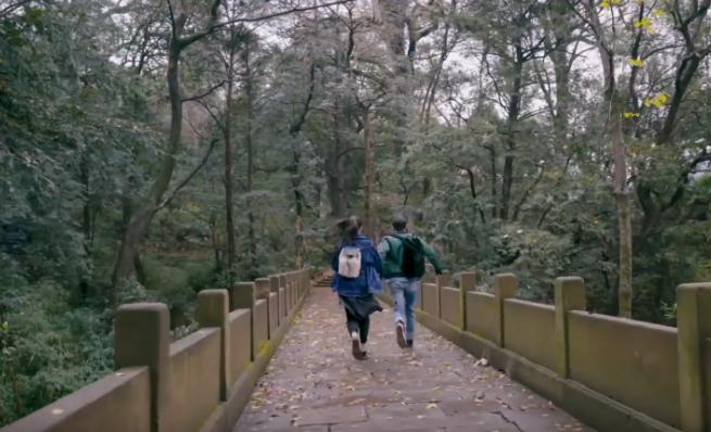 欢乐颂第二部谢童带关关出去玩,曲筱绡知道关关要和谢童出去采风