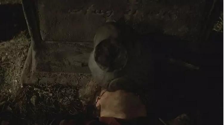 万恶之源绝不是脚踏三条船的大波妹，该是圣母内脑袋