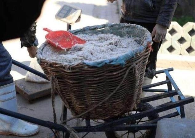 带女朋友回娘家吃辣条,带女友回广西吃水果