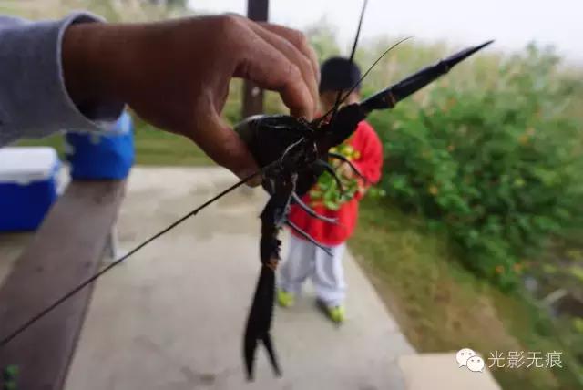 德国背包客的省钱绝招，和他们拼车自驾澳洲，半个月只花一百多刀