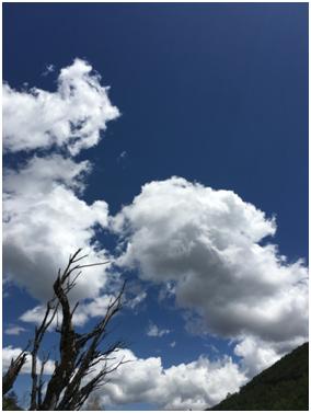 中铁二十局五公司：游记——那些在云南的风花雪月