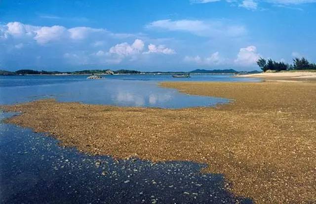 到广西应该玩的地方,广西好看的小众海滩